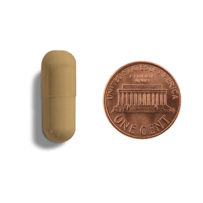 Copper-colored pill and penny on a white background