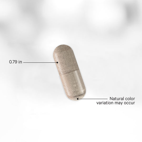 Beige pill-shaped object with measurement label and color variation note on a light gray background