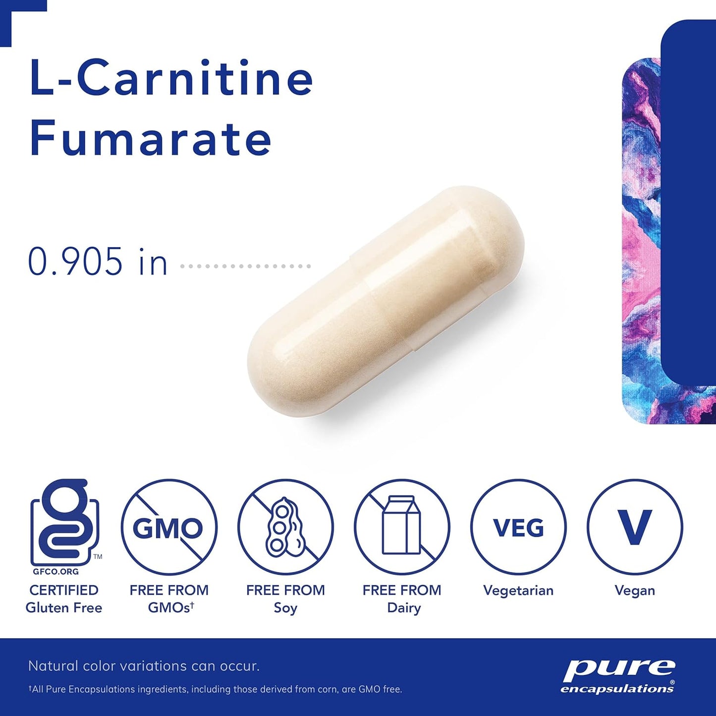 A beige, Pure Encapsulations L-Carnitine Fumarate dietary supplement capsule that measure .905 inches and is Gf, GMO free, Soy free, Dairy free, vegetarian, and vegan
