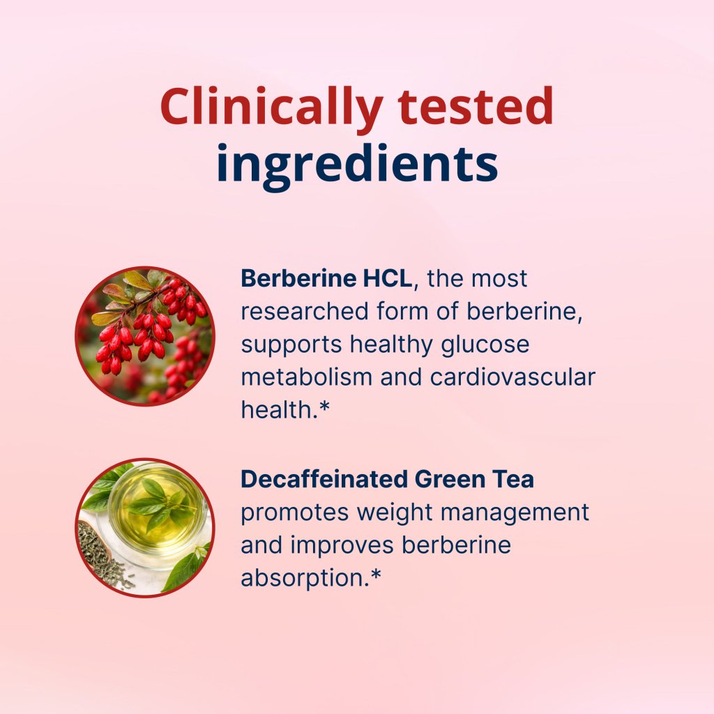 An explanatgion of why berberine and decaffeinated green tea is effective.