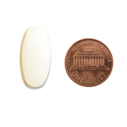 Copper penny with Lincoln Memorial design on a white background