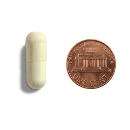 Large beige capsule next to a U.S. penny on a white background