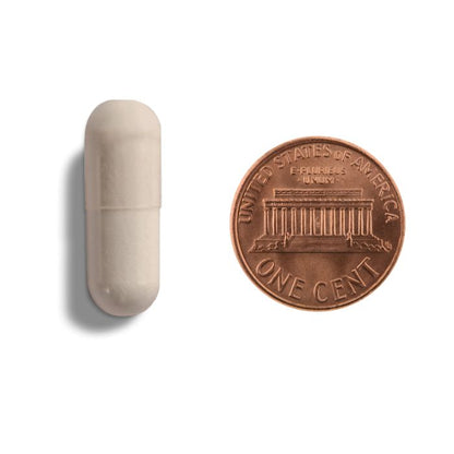 Copper penny with Lincoln Memorial design on a white background