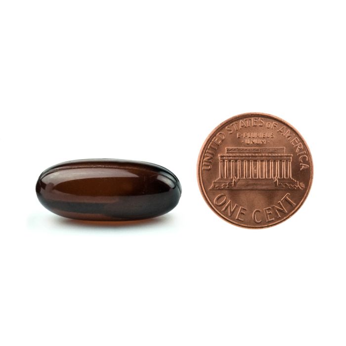 Brown capsule next to a U.S. penny on a white background