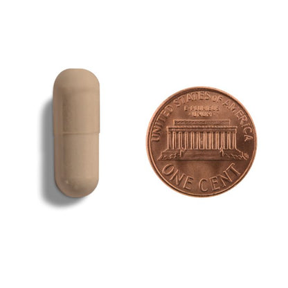 Beige capsule next to a U.S. penny on a white background.
