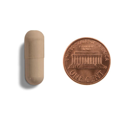 Copper-colored capsule and penny on a white background