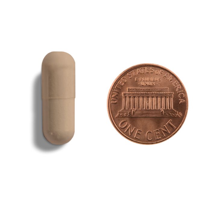 Copper-colored capsule and penny on a white background