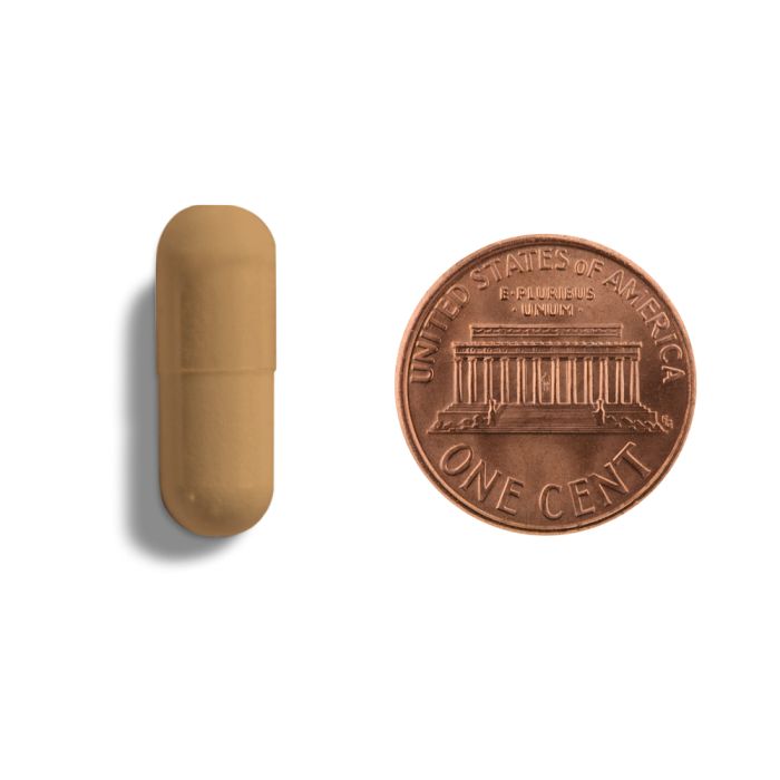 Brown capsule next to a U.S. penny on a white background