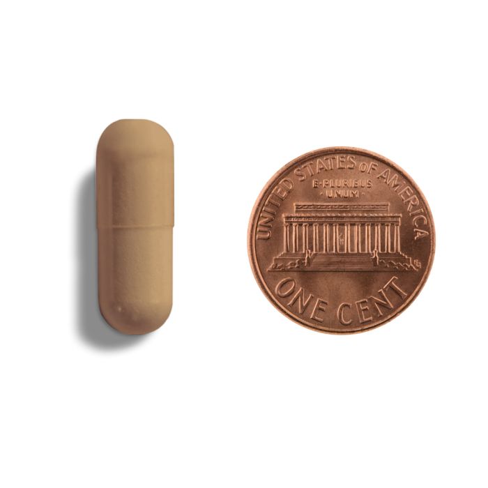 Brown capsule and penny on a white background