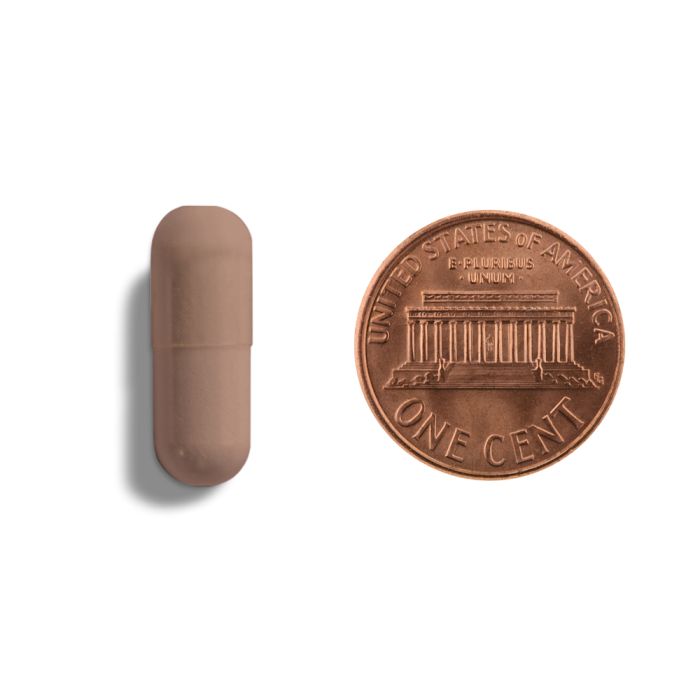 Copper penny and a small brown rectangular object on a white background