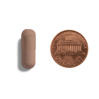 Copper penny and a small brown rectangular object on a white background