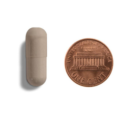 Copper penny and beige capsule on a white background
