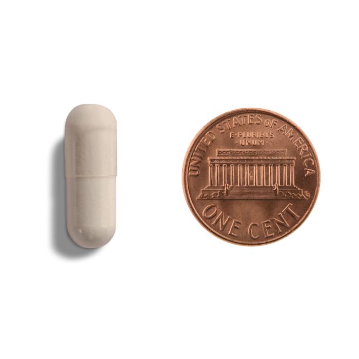 Copper penny and beige air pod case on a white background