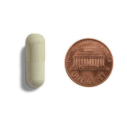 Small beige rectangular object next to a copper penny on a white background