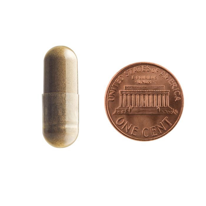Copper capsule and penny on a white background