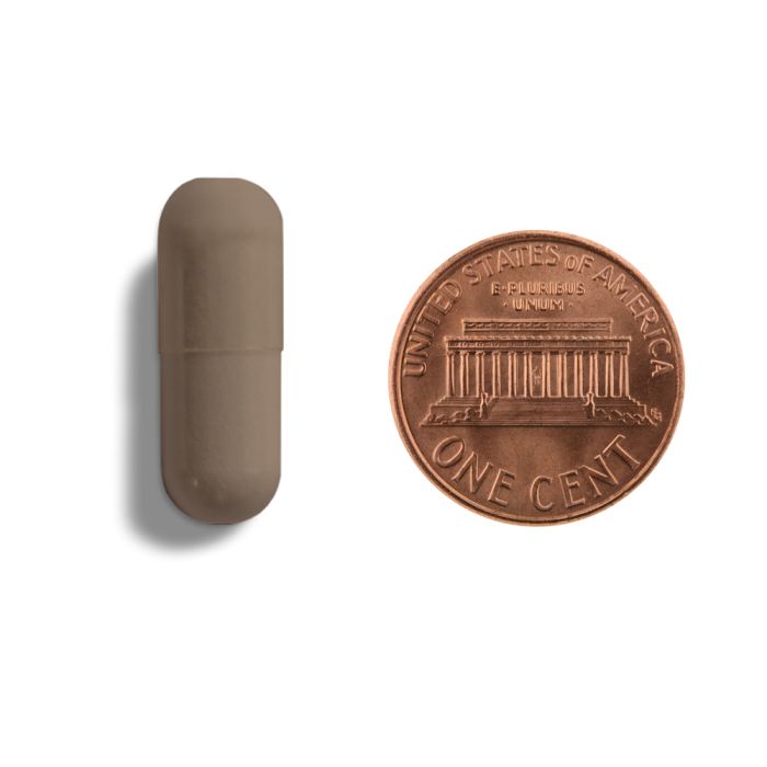 Small cylindrical object next to a U.S. penny on a white background