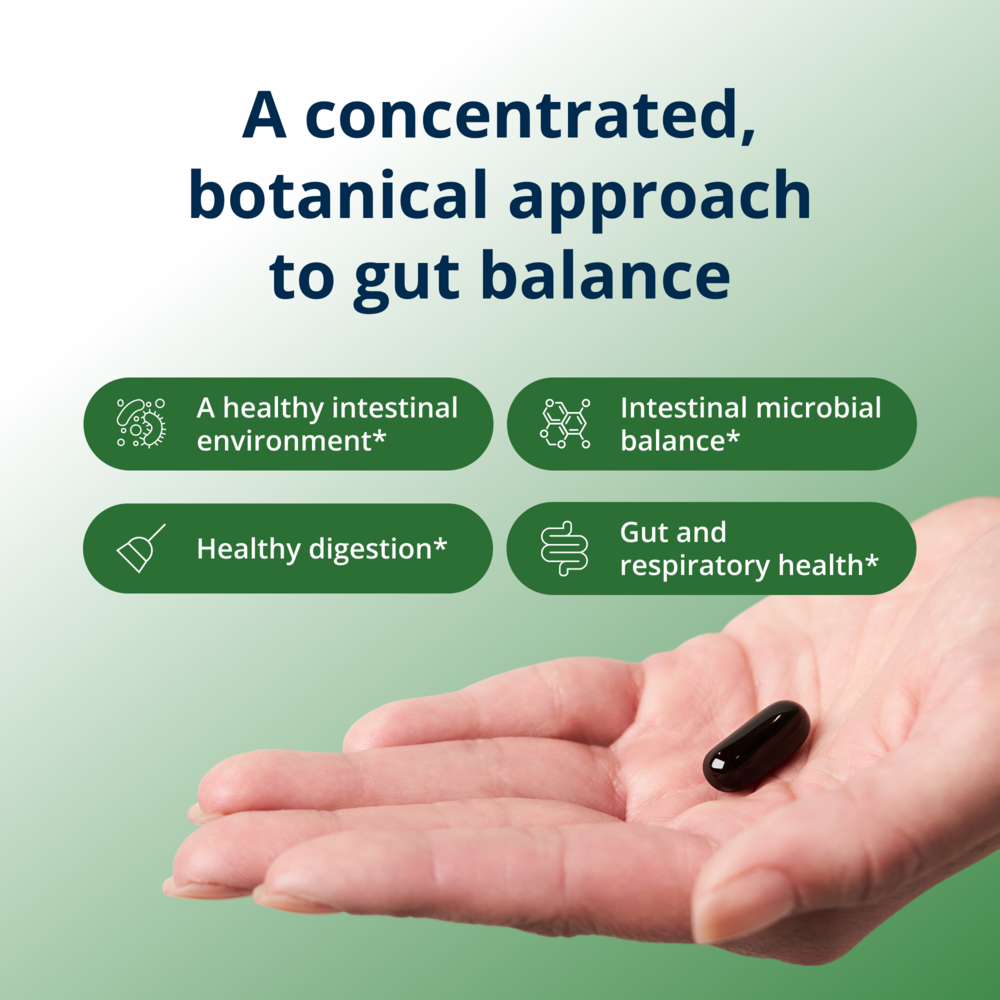 Hand holding a supplement capsule with text about gut health on a green background