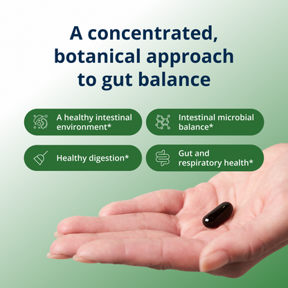 Hand holding a supplement capsule with text about gut health on a green background
