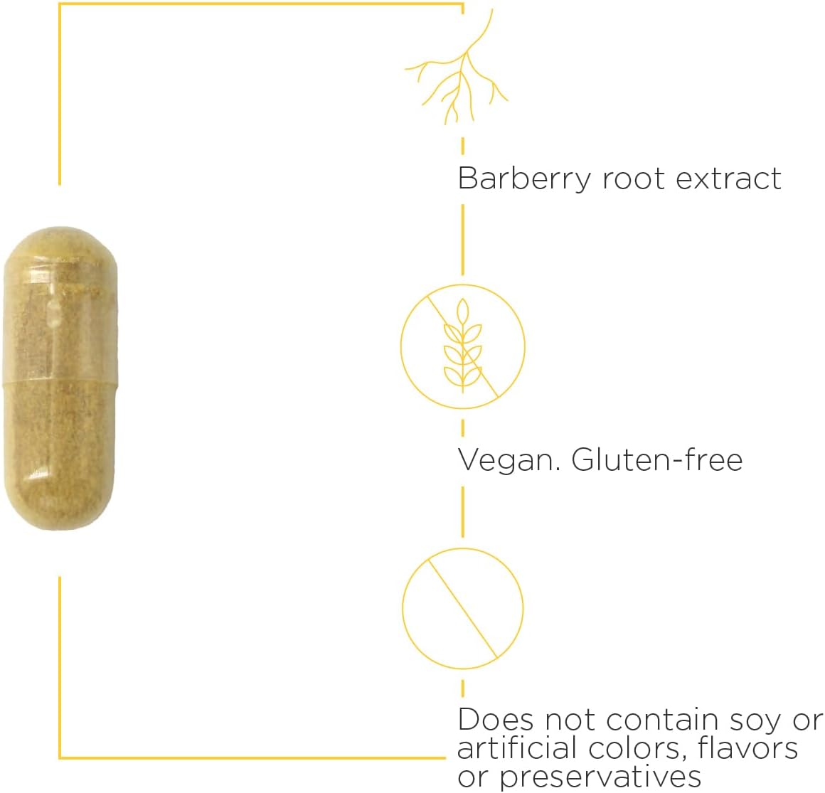 A picture of a light brown capsule that is free of soy, artificial flavors, color, and preservatives.