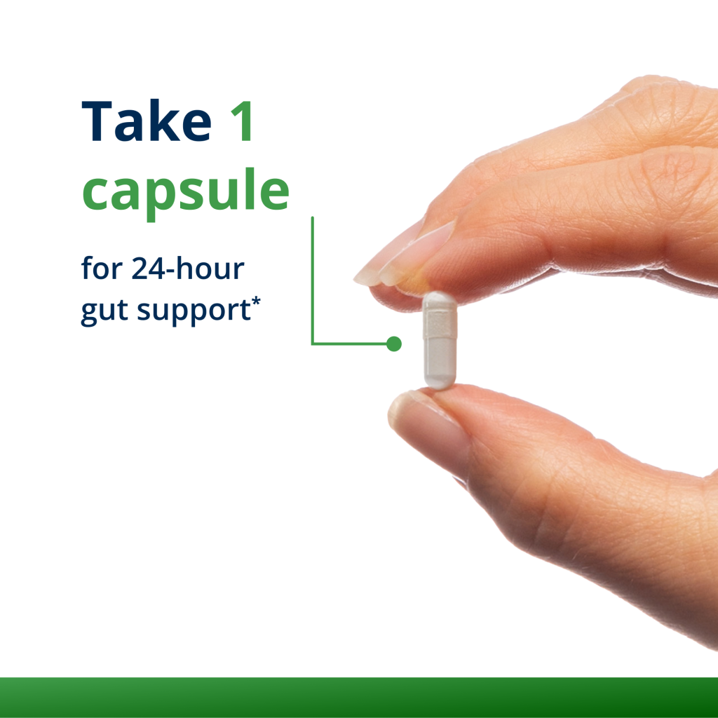 Hand holding a white capsule with text about 24-hour gut support on a white background