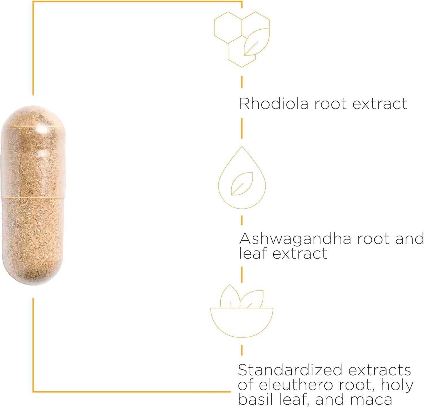 A picture of a tan capsule.