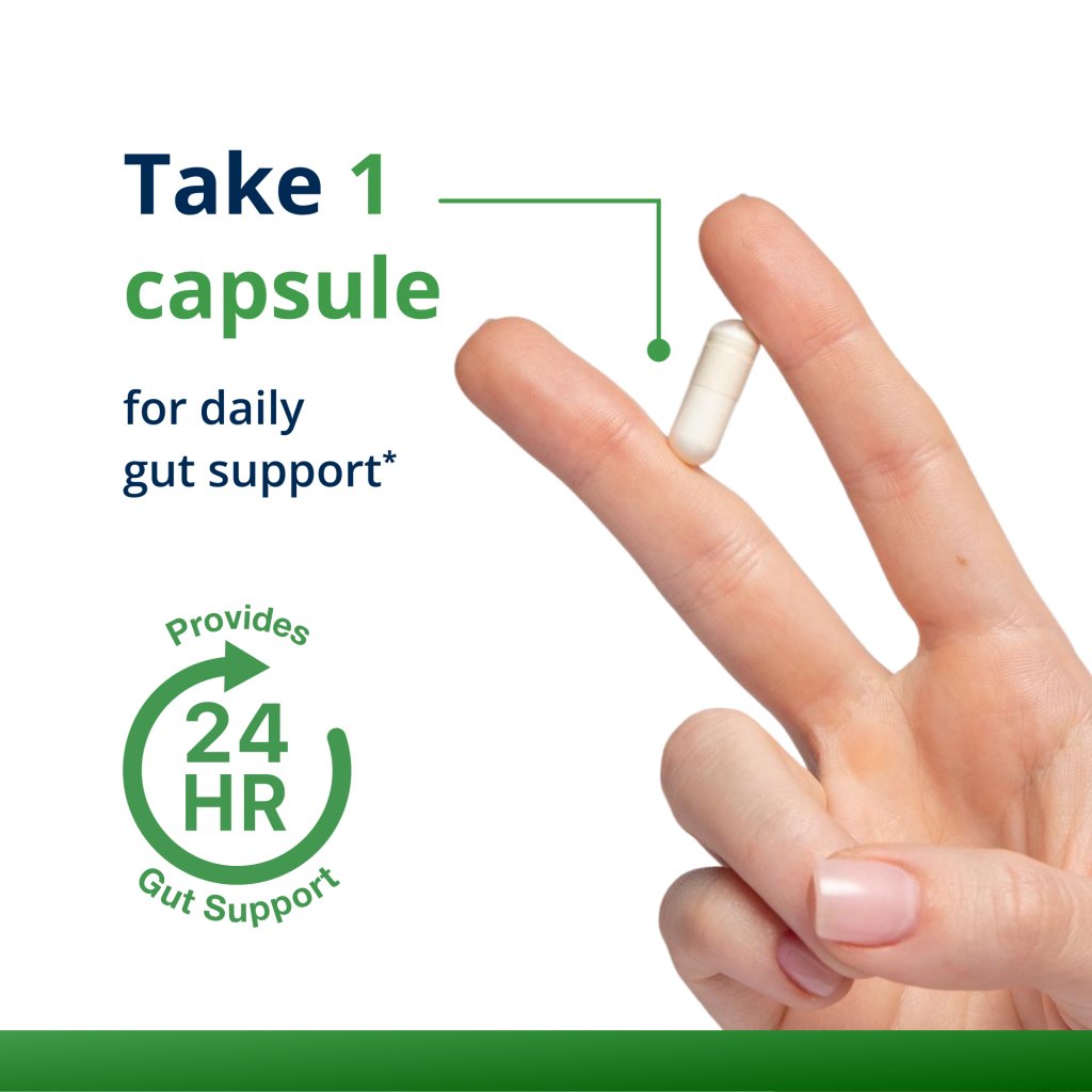 Take one capsule for daily, 24 hour gut support.
