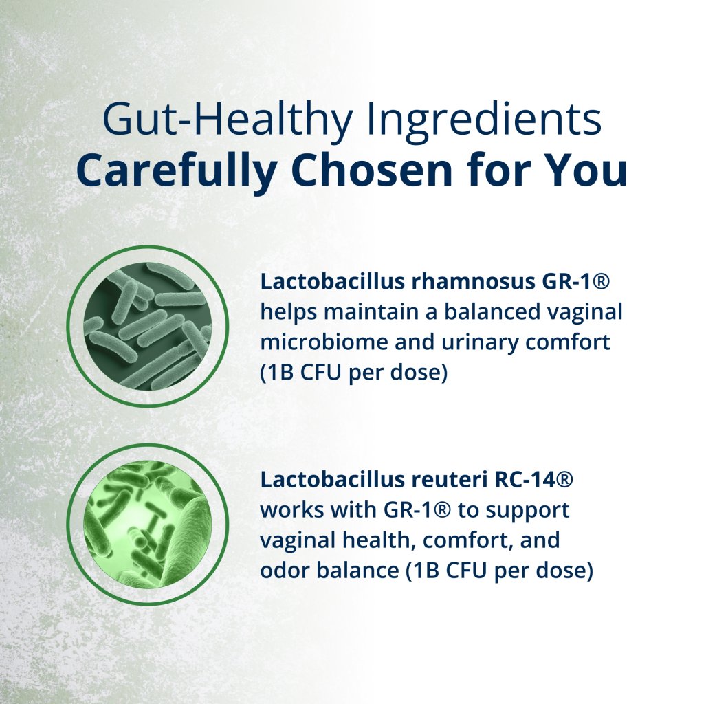 Text and icons about gut-healthy ingredients with Lactobacillus strains on a light background