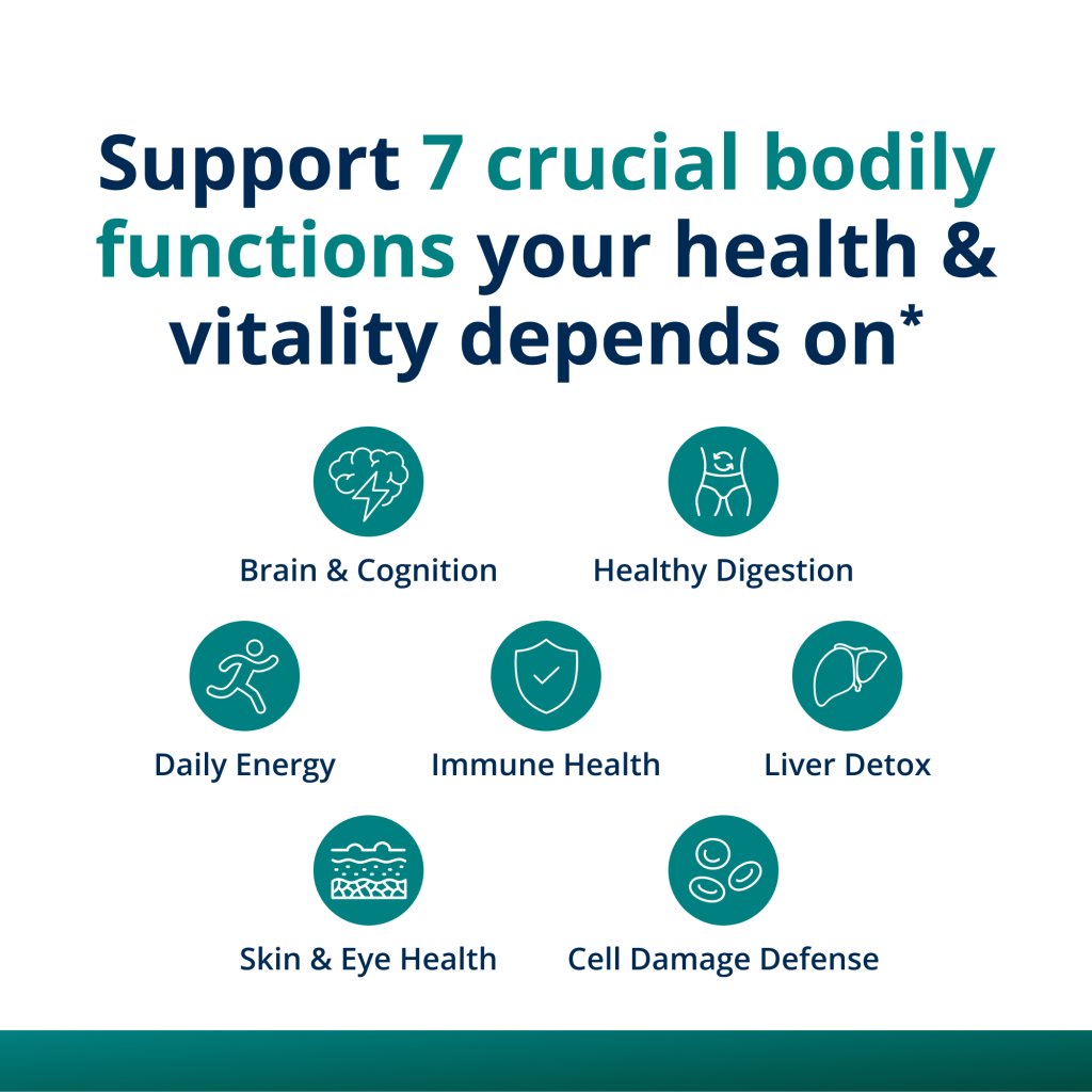 Chart detailing 7 crucial bodily functions supported by a supplement or health product.