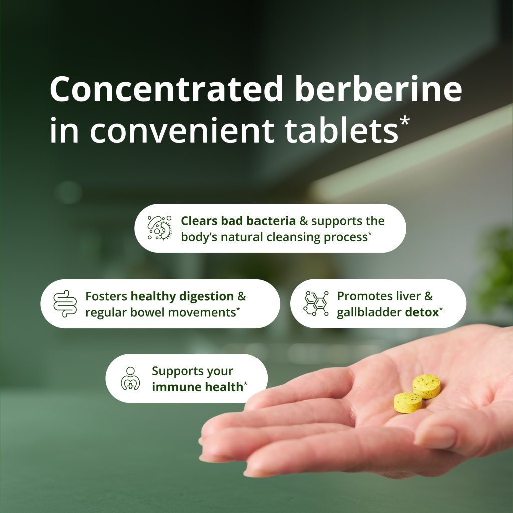 Hand holding two yellow tablets with text about concentrated berberine in convenient tablets on a blurred background.
