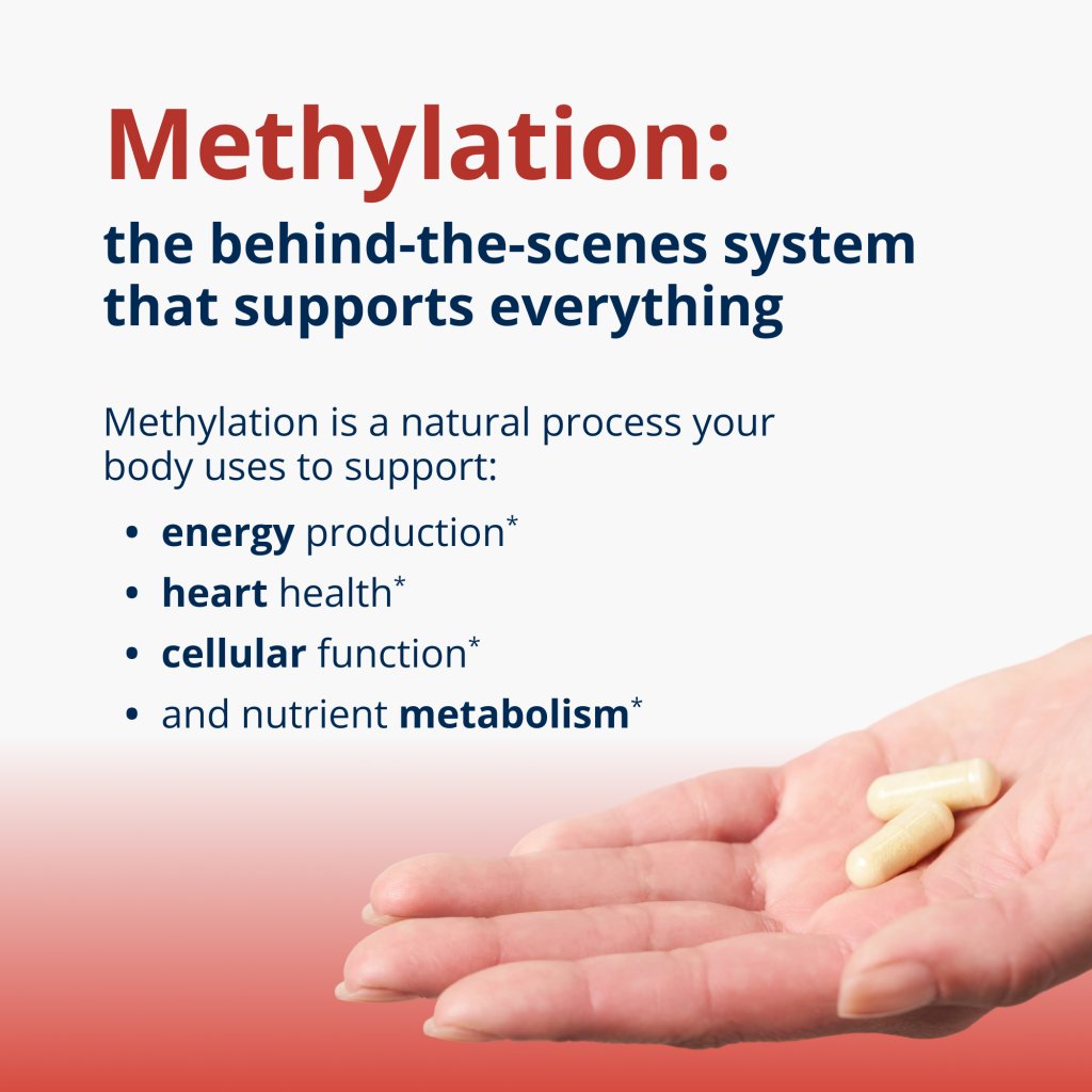 Hand holding two capsules with text about methylation and its benefits on a red and blue gradient background