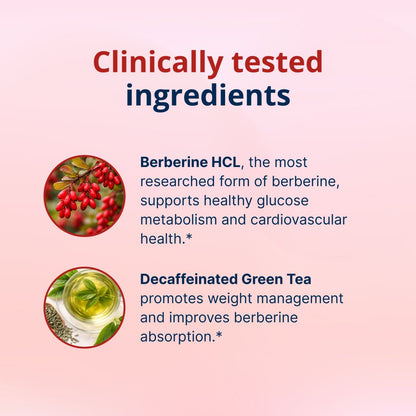 An explanatgion of why berberine and decaffeinated green tea is effective.