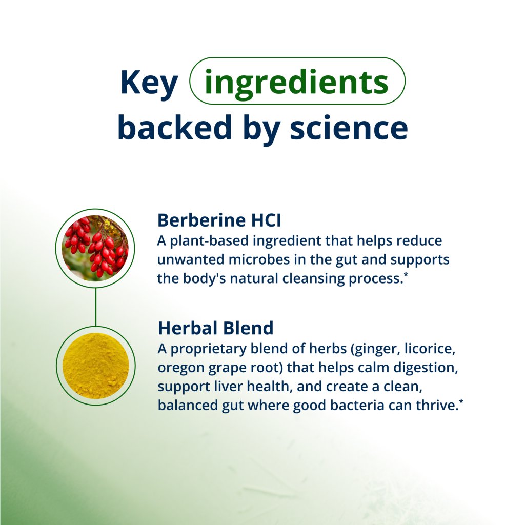 Key ingredients with descriptions on a green background