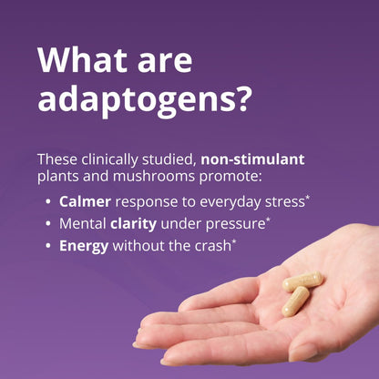 An informational graphic on a purple background with the headline 'What are adaptogens?' and white text explaining benefits like calmer response to stress, mental clarity under pressure, and energy without a crash. A human hand holding two beige capsules appears in the lower right corner.